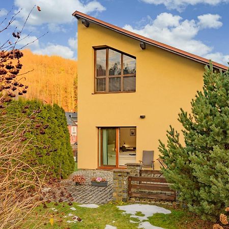 Apartman Hamrovka Velké Hamry Dış mekan fotoğraf